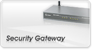 Security Gateway