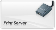 Print Server